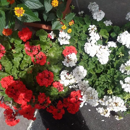 Unterberger * Oberau