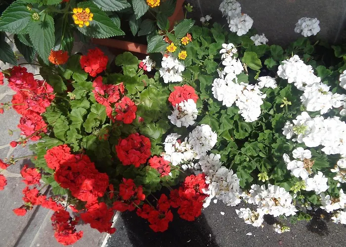 Unterberger * オーバーアウ