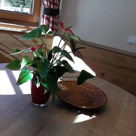 Apartment Unterberger Oberau